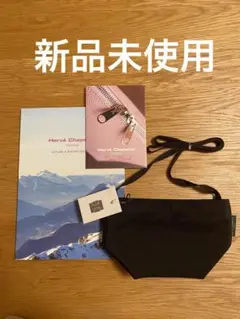【新品未使用タグ付き】エルベシャプリエ ショルダー 1927N XS