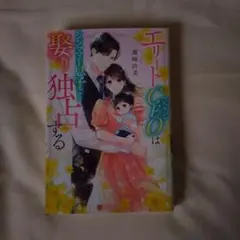 エリートCEO(元カレ)はシンママを息子ごと娶り独占する