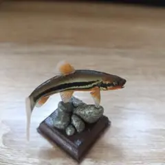 いきもん ガチャ フィギュア ウグイ