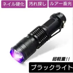 LED ブラックライト UVライト 蓄光 釣り 紫外線 ジェルネイル 送料無料