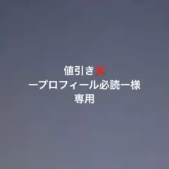値引き❌ープロフィール必読ー様 専用