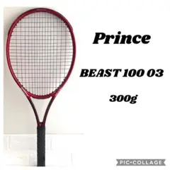 Prince BEAST 100 03 300g G2