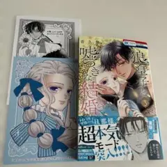 狼皇子と嘘つきな結婚 3