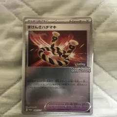 まけんきハチマキ：ポケモンカードゲームチャンピオンシップ