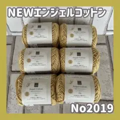 ☆NEWエンジェルコットン　No2019　6玉セット　　コットン100%