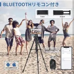 Item thumbnail for item 72ab6dbd-4402-41a6-9e2a-4f647d19879b