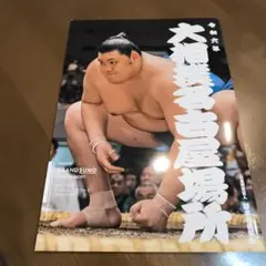 名古屋 大相撲 トーナメント 冊子