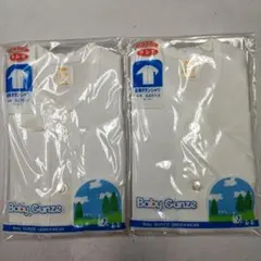 Item thumbnail for item d507bda8-0c24-47e0-8007-9f6e5b537039