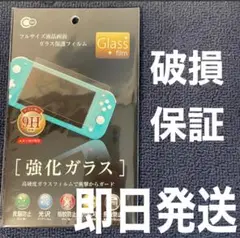 Switchライト 画面ガラス 保護フィルム 9H スイッチライト 任天堂