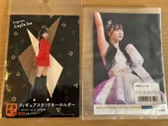Hello! Project ハロプロ ディズニーコラボパーカー ハロプロとディズニーの周年記念オリジナルパーカー発売、ペン