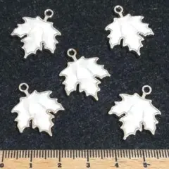 2点限り⭐ヒイラギ？(ホワイト).。.:*5個♡ゴールドチャーム