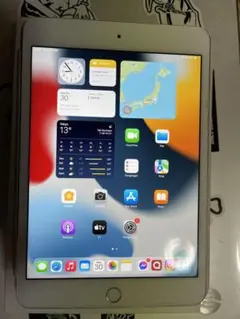 iPad mini 4 64GB WiFi Cellular