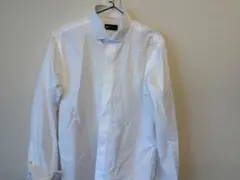 Item thumbnail for item 2da353bb-f1eb-4549-9136-062358610993