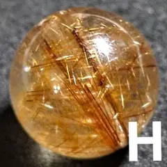 Item thumbnail for item fb6594d9-2d75-4674-a052-5267309c4eba