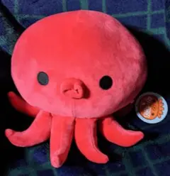 たこーん　ぬいぐるみM　もちもち　タコ【新品未使用タグ付】