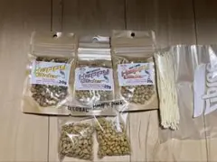 Item thumbnail for item a471c32a-2024-44dc-ab66-6c248f3c329e