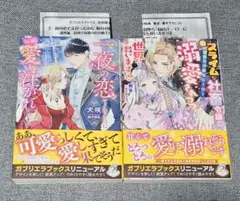 ガブリエラブックス　2冊セット