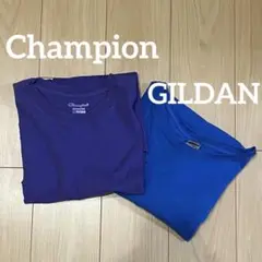 チャンピオン ギルダン Tシャツ 半袖 Lサイズ