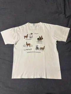 90s USA製 オニータ ONEITA ラマTシャツ