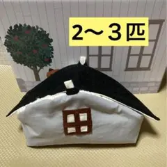 Item thumbnail for item 60eb25aa-5e4a-4bd1-a57b-02b2a1061494