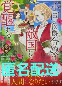 小国の侯爵令嬢は敵国にて覚醒する ２ 西野まほろ 守雨