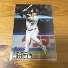 赤羽由紘 トレーディングカード