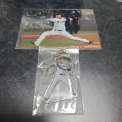 阪神タイガース　ラッフルくじ　岩崎優選手