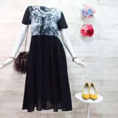 シロマ ペイント加工シアースカートロングワンピース フリーサイズ 黒
