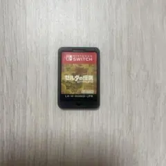 ゼルダの伝説ブレスオブザワイルド カセットのみ