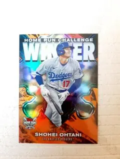 580枚限定　大谷翔平ホームランチャレンジ当選カード