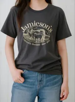 Tシャツ グレーL【未使用】