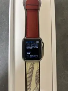 【即発送可】Apple Watch 本体 イラスト付きバンド
