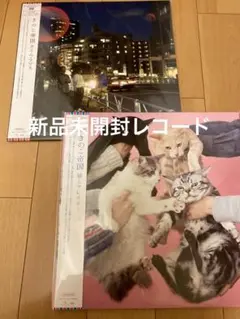 きのこ帝国 レコード 3点セット　猫とアレルギー　タイムラプス　愛のゆくえ 3タイトル同時購入特典付セット】 猫とアレルギー ＋ 愛のゆくえ