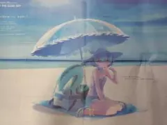 FGO 10th OVER THE SAME SKY　新聞広告　2枚セット