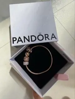 【総額8万円相当】セット売りPANDRA