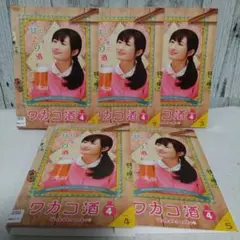 ワカコ酒 シーズン4 DVD 全巻セット 武田梨奈 レンタル落ち