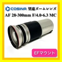 Item thumbnail for item 9f580460-7a4a-47d8-be4f-7e1664f22720