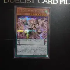 遊戯王　ドドレミコードクーリア　シークレットレア