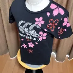 美品❣️Canterbury カンターベリー　桜柄 Tシャツ 黒　Mサイズ