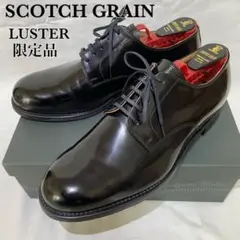 【美品】SCOTCH GRAIN LUSTER ラスター 百貨店限定 T0054