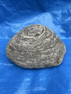 【天然石】原石　置物　飾り石　コレクション　重さ3.1kg
