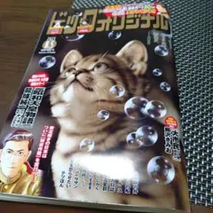 ビッグコミックオリジナル 　　2025年8月5日号