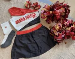 OSAKA EVESSA チアダンスウェア ポンポン　bt’s 大阪エヴェッサチアダンススクールbt's Reveです✨ 毎年