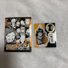 ハイキュー アクリルフィギュアコレクション第1弾 山口忠