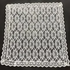 ホワイトレース生地 花柄 約30cm x 30cm
