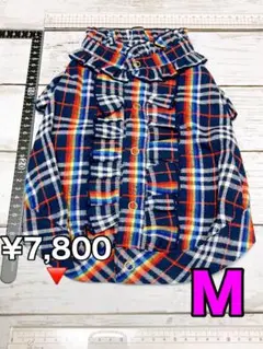 Item thumbnail for item 0ca96cef-efc1-4050-a905-f2d58e48d156