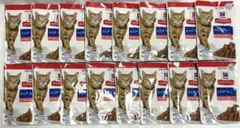 Item thumbnail for item 023486a2-9012-4666-a78a-8deae1c3b58e