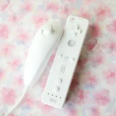 wiiリモコンとヌンチャクセット