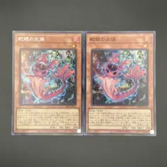 【遊戯王】蛇眼の炎燐 スネークアイズポプルス 2枚