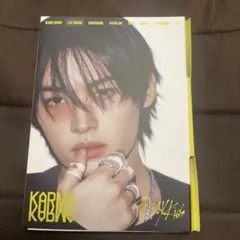 karma　アルバム　アコーディオン　CD 開封済み　リノ